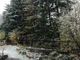 È arrivata la neve: stamattina primi fiocchi in alta Valle di Susa e alta Val Chisone [VIDEO]