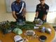 Chivasso, nell'orto cresceva la marijuana: in manette 40enne