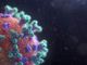 Coronavirus, in Piemonte i nuovi contagiati (550) sono il doppio dei guariti (272)