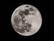 Questa sera lo spettacolo della prima eclissi di Luna del 2020