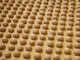 Fonte Archivio Storico dei Produttori Nocciolini di Chivasso