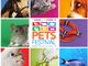 Petsfestival si prepara alla 7° Edizione: a Piacenza Expo dal 19 al 20 ottobre