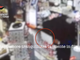Il “rapinatore gentiluomo” tranquillizza i clienti prima dei colpi ma non sfugge ai carabinieri e viene arrestato