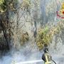 Incendio a Roma ovest, rogo di sterpaglie minaccia case e negozi