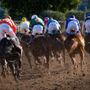 Cheltenham Festival 2025: il grande spettacolo dell’ippica internazionale
