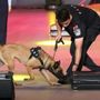 Cina, da inizio anno sequestrate oltre 4 tonnellate di droga alle frontiere
