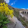 Il Parco Alpi Liguri partecipa con un calendario ricco di eventi per il “Maggio dei Parchi della Liguria”: ecco tutte le info
