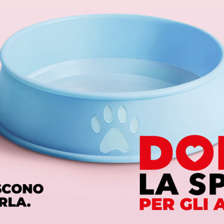 La locandina dell'iniziativa di Nova Coop