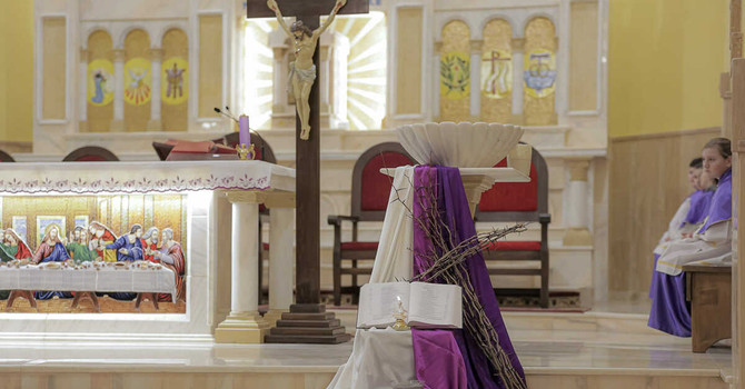 (Foto di Mihai Bursuc) (Foto di Mihai Bursuc)