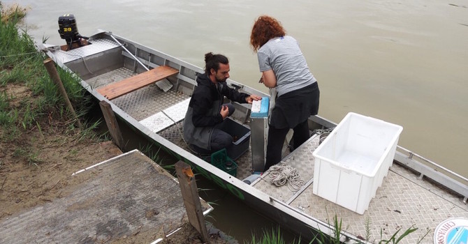 Microplastiche nel Po, a Chivasso l'iniziativa 'Manta River'