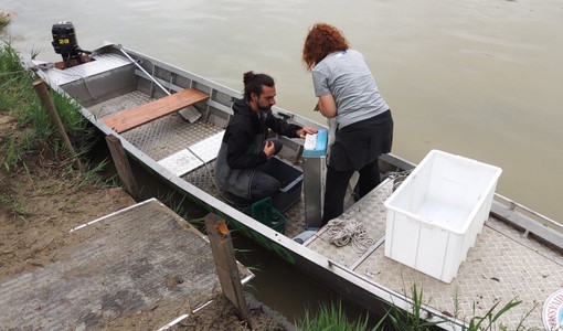 Microplastiche nel Po, a Chivasso l'iniziativa 'Manta River'