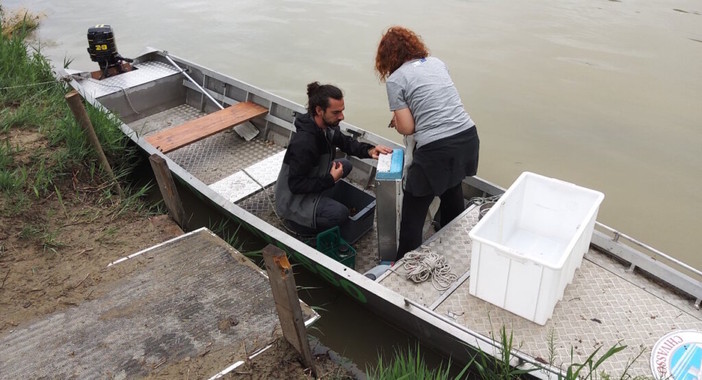 Microplastiche nel Po, a Chivasso l'iniziativa 'Manta River'