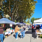 Monteu da Po, torna Bancarellando per la Festa Patronale: aperte le iscrizioni per gli espositori in Piazza Bava Monteu da Po, torna Bancarellando per la Festa Patronale: aperte le iscrizioni per gli espositori in Piazza Bava