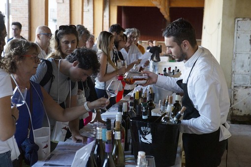 COCCO...WINE 2026! nella Riviera del Monferrato COCCO...WINE 2026! nella Riviera del Monferrato
