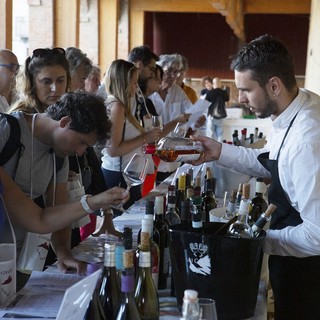 COCCO...WINE 2026! nella Riviera del Monferrato