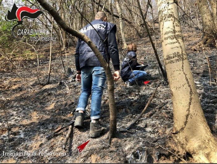 Incendi boschivi, la Regione Piemonte aggiorna il piano di prevenzione: arrivano i "crediti di carbonio" Incendi boschivi, la Regione Piemonte aggiorna il piano di prevenzione: arrivano i "crediti di carbonio"