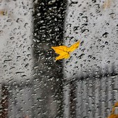 Torna il maltempo, nella serata di oggi. Poi migliora