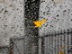 Meteo, settimana perturbata e molto variabile