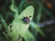 Foto di Richie Bettencourt - tamite Unsplash