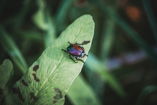 Foto di Richie Bettencourt - tamite Unsplash