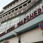 regina margherita