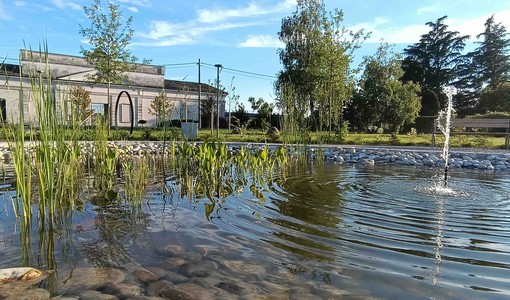 Il territorio torinese protagonista al Premio “La Città per il Verde”: