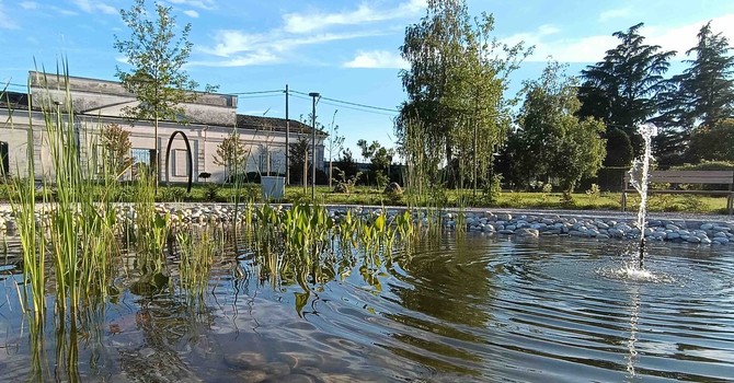 Il territorio torinese protagonista al Premio “La Città per il Verde”: