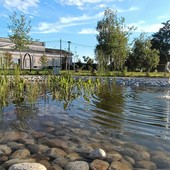 l territorio torinese protagonista al Premio “La Città per il Verde”: