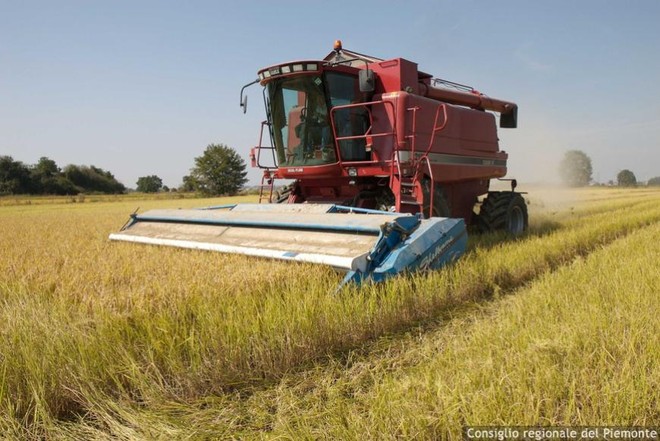Piano per la qualità dell'aria: &quot;In assenza di modifiche  a rischio il settore agricolo&quot;