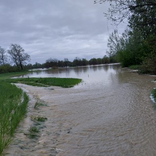 L'alluvione nel comune di Cavagnolo