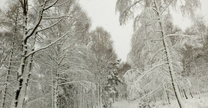 Meteo: continua il freddo e vento sulle pianure, neve sulle Alpi
