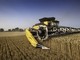 "Le politiche agricole devono essere centrali nei programmi degli Enti Locali" "Le politiche agricole devono essere centrali nei programmi degli Enti Locali"