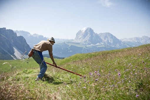 "Voglio vivere in montagna": 302 le domande dei cittadini finanziate dalla Regione Piemonte