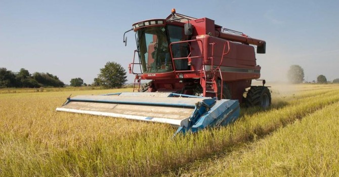 Piano per la qualità dell'aria: &quot;In assenza di modifiche  a rischio il settore agricolo&quot;