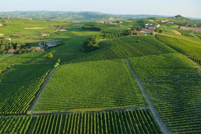 Il biologico piemontese cresce grazie alla cooperazione