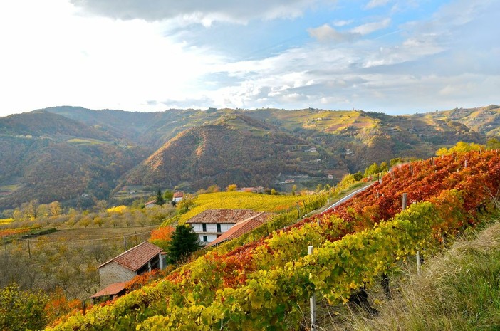 Dai sorì delle Langhe alla bottiglia: la filiera corta di Terrenostre Dai sorì delle Langhe alla bottiglia: la filiera corta di Terrenostre