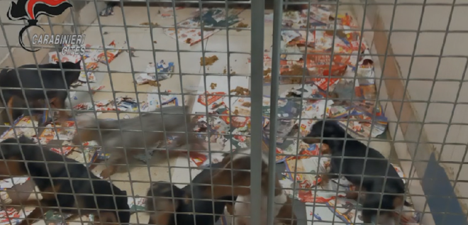 Immagine di repertorio