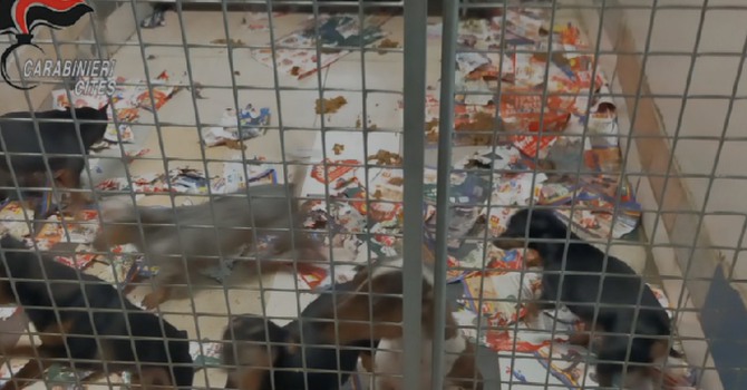 Immagine di repertorio