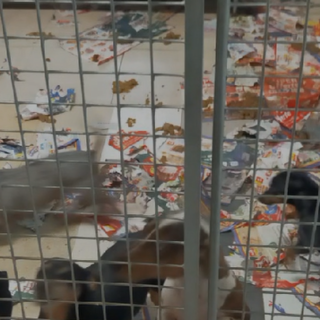 Immagine di repertorio