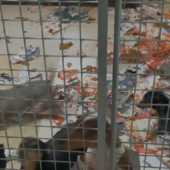 Immagine di repertorio