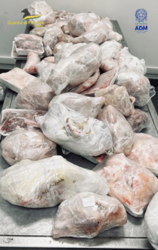 Sorpresa in aeroporto: nella valigia del passeggero proveniente dall’Egitto spuntano 64 kg di carne
