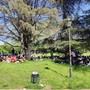 Ponte del 2 Giugno: sole e caldo a Torino, ma rischio temporali in montagna