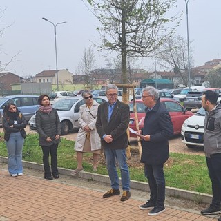 A Chivasso piantati otto alberi in memoria di una giovane vittima della strada.
