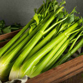 Cucina sostenibile: come ridurre gli sprechi alimentari in modo creativo Cucina sostenibile: come ridurre gli sprechi alimentari in modo creativo