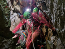 Dopo più di 24 ore, lo speleologo torinese fuori dall'Abisso Paperino Dopo più di 24 ore, lo speleologo torinese fuori dall'Abisso Paperino