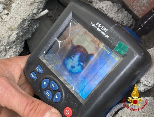 Vigili del Fuoco a Ciriè