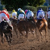 Cheltenham Festival 2025: il grande spettacolo dell’ippica internazionale