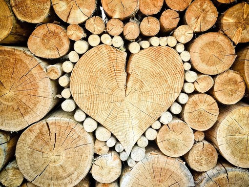 Nasce a Woody 2024 l’associazione “Cluster Legno Piemonte” Nasce a Woody 2024 l’associazione “Cluster Legno Piemonte”