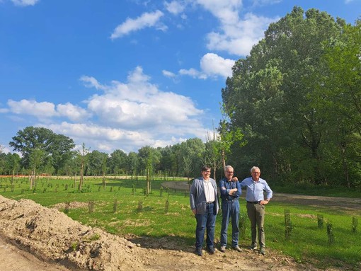 Proseguono gli interventi di riqualificazione del Parco del Sabiunè Proseguono gli interventi di riqualificazione del Parco del Sabiunè