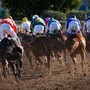 Cheltenham Festival 2025: il grande spettacolo dell’ippica internazionale